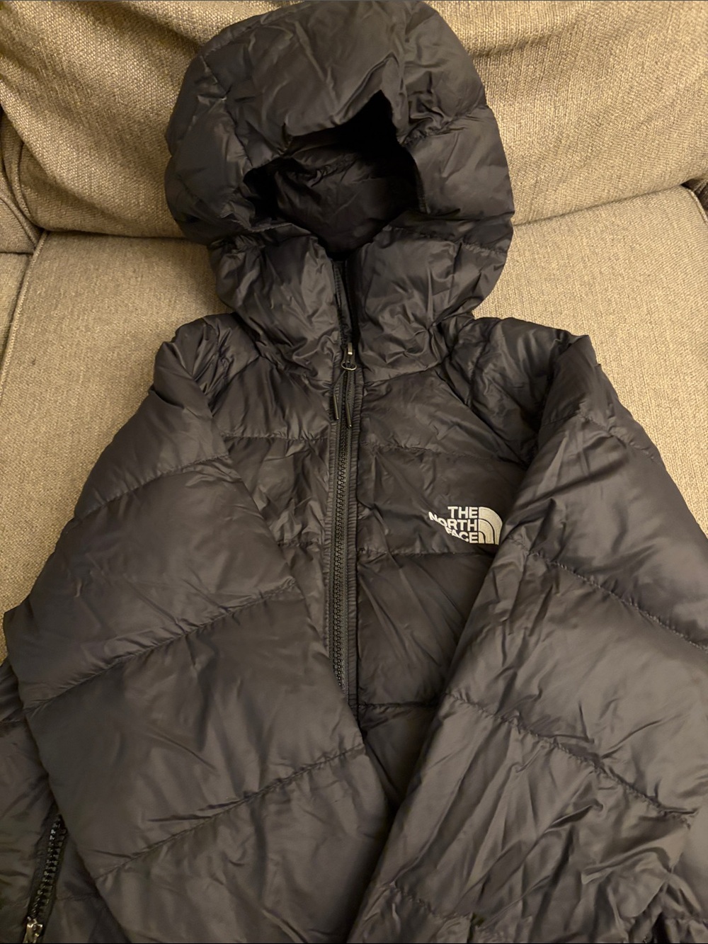 The North Face Black Hooded Puffer Jacket